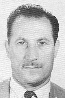 Dardic Birstein